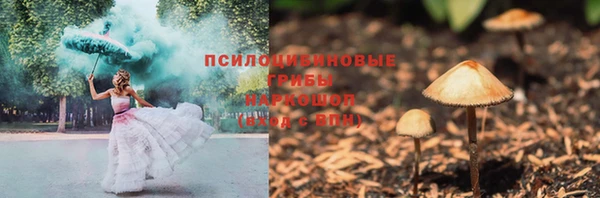 мяу мяу мука Аркадак