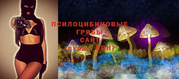 мяу мяу мука Аркадак