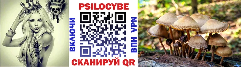 Псилоцибиновые грибы GOLDEN TEACHER  цена   Сасово 